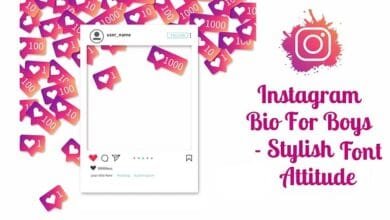 Instagram Bio for Boys Stylish Font Attitude