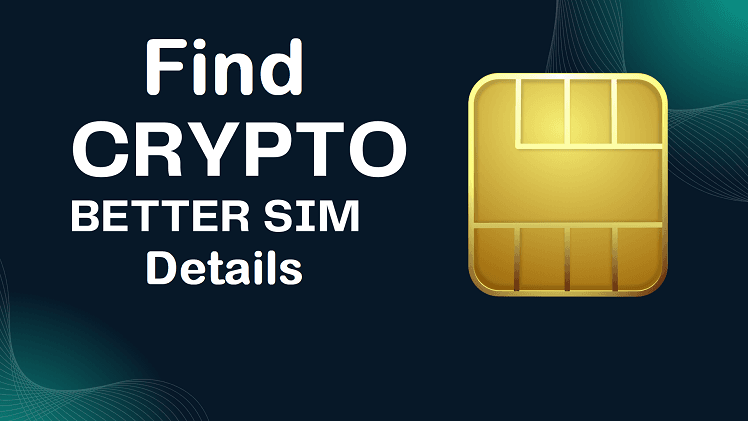 Crypto Batter Sim Details